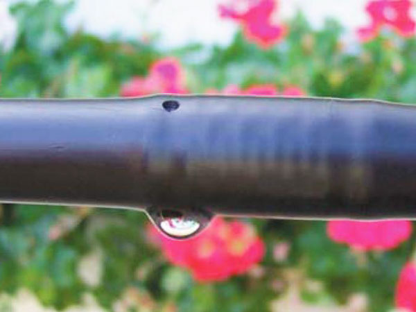 內鑲圓柱式滴灌管